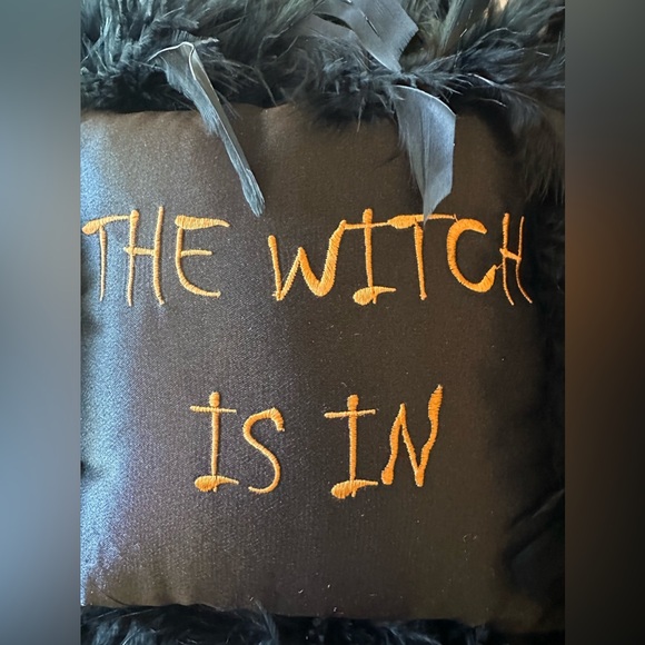 Set of 2 Halloween Thro by Marlo Lorenz Pillows CLEAN with Black feathers! - Picture 4 of 8